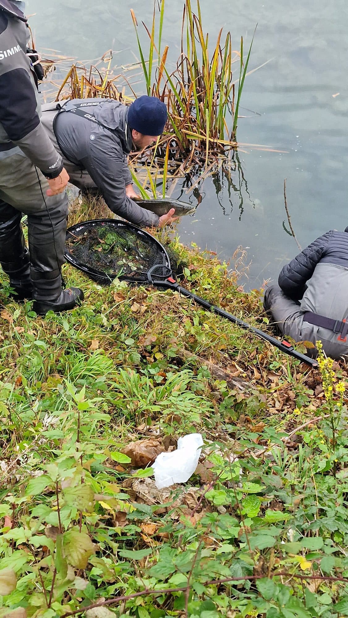 Angler lowering a fish back toward the water beside a landing net