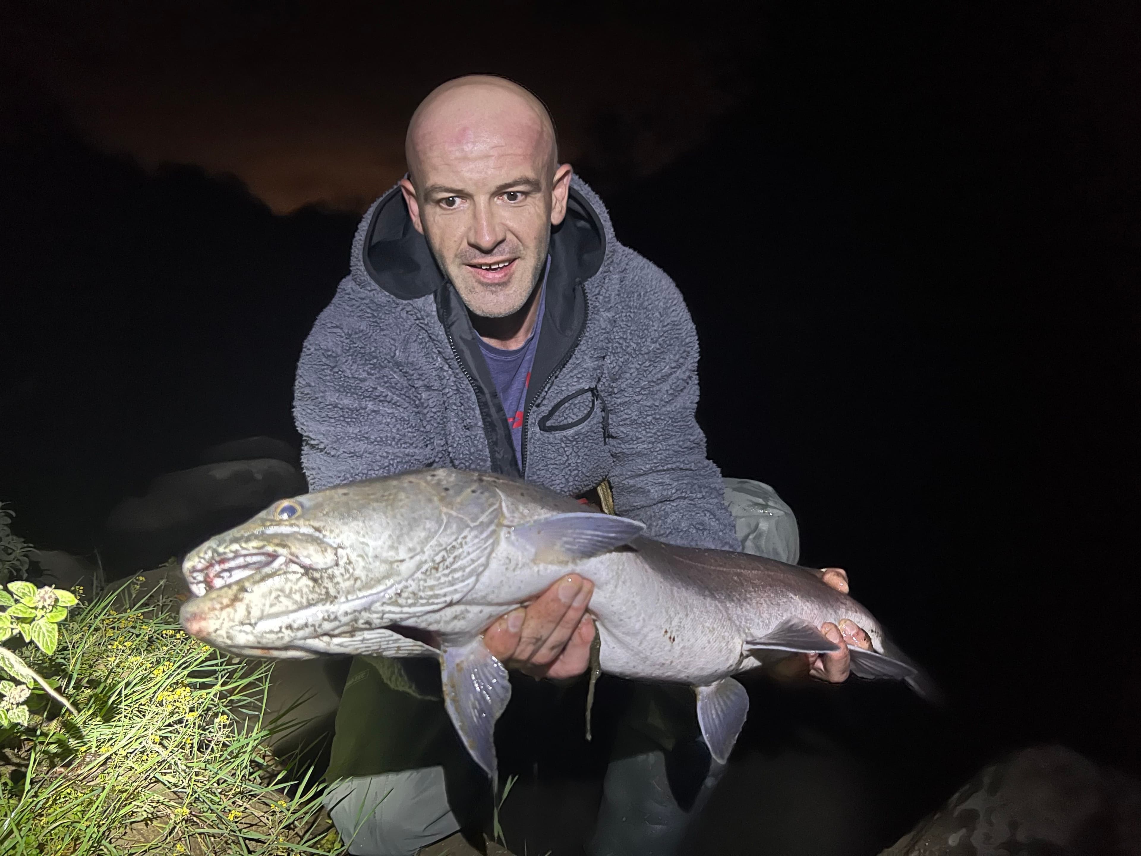 Huchen landed during a night fishing session
