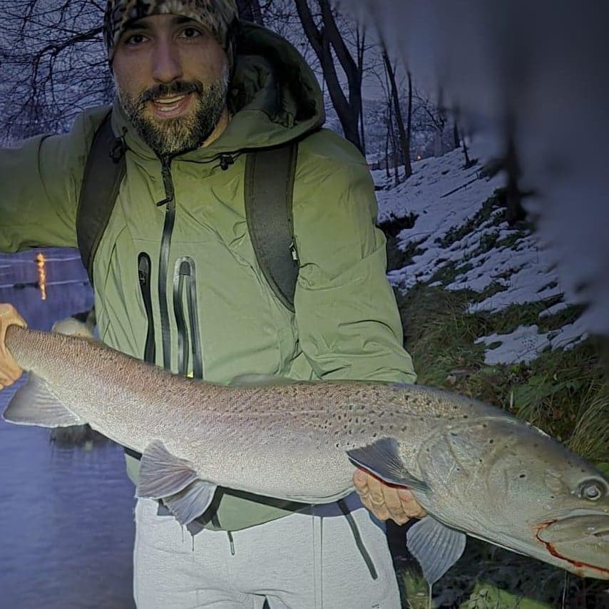 Mladen Bandović, Guide