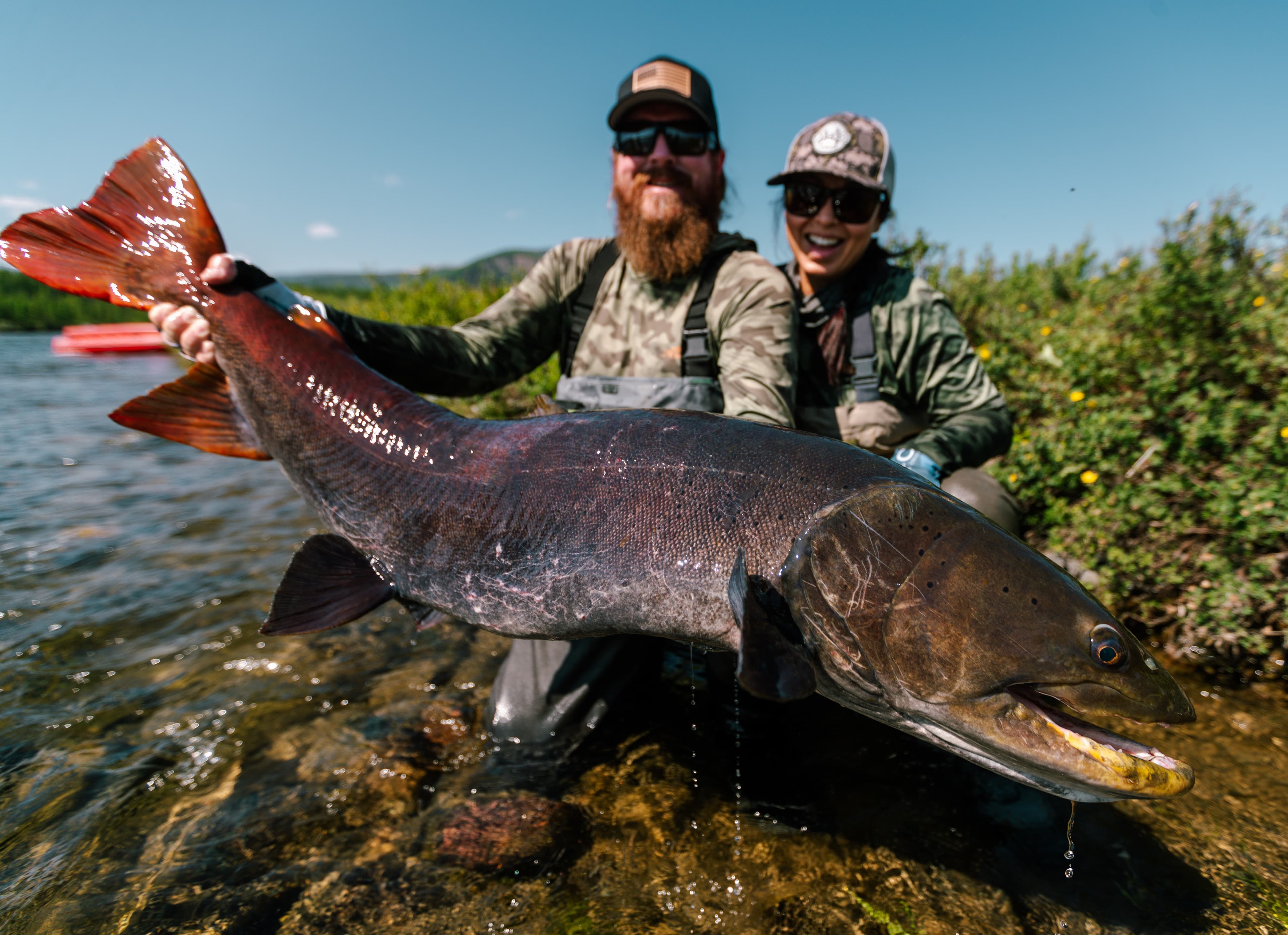 Two anglers with a giant taimen on the Mongolia expedition